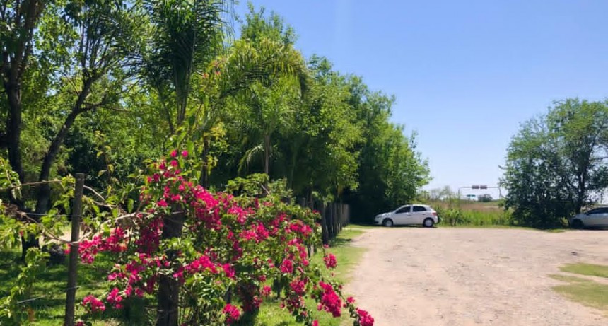 SOLCITO, SOLCITO CALIENTAME UN POQUITO 