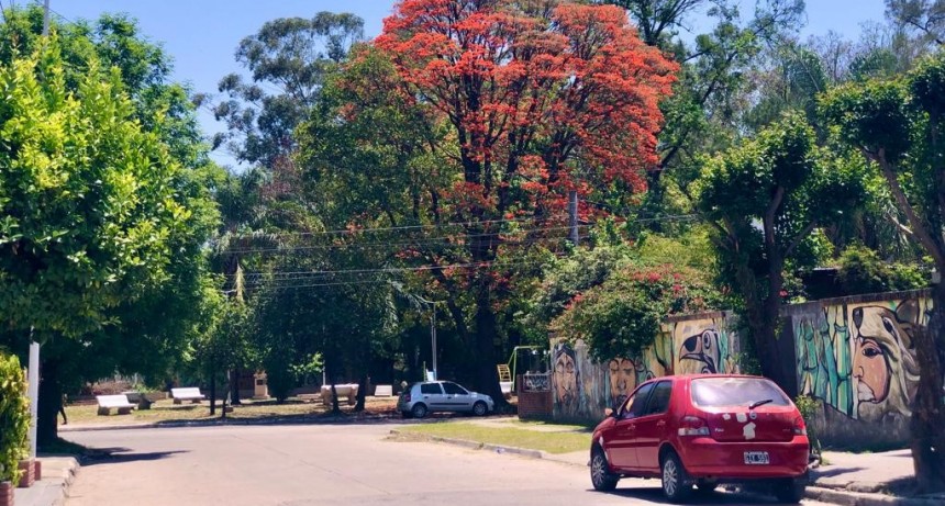 SEGUNDO SÁBADO DE FEBRERO, SOL A PLENO 