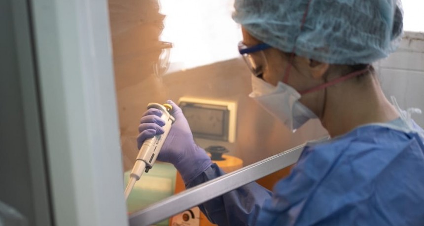 TUCUMAN NO ARROJO PACIENTES NUEVOS DE CORONAVIRUS, ESTE DOMINGO
