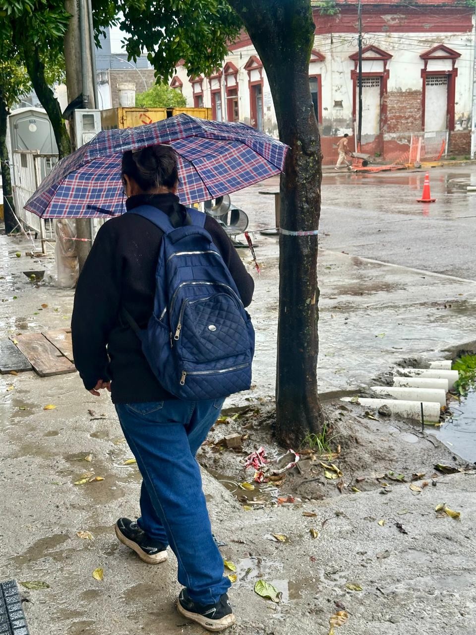 NO GUARDE EL PARAGUAS. NUBLADO Y LLUVIAS EN MONTEROS