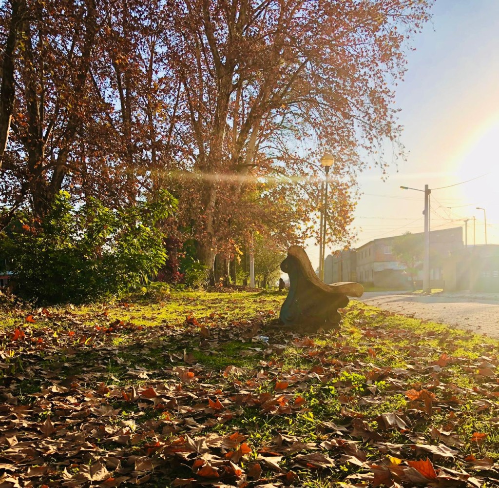 MONTEROS, OTRO D&Iacute;A DE CALOR Y POSIBILIDAD DE TORMENTAS HACIA LA TARDE