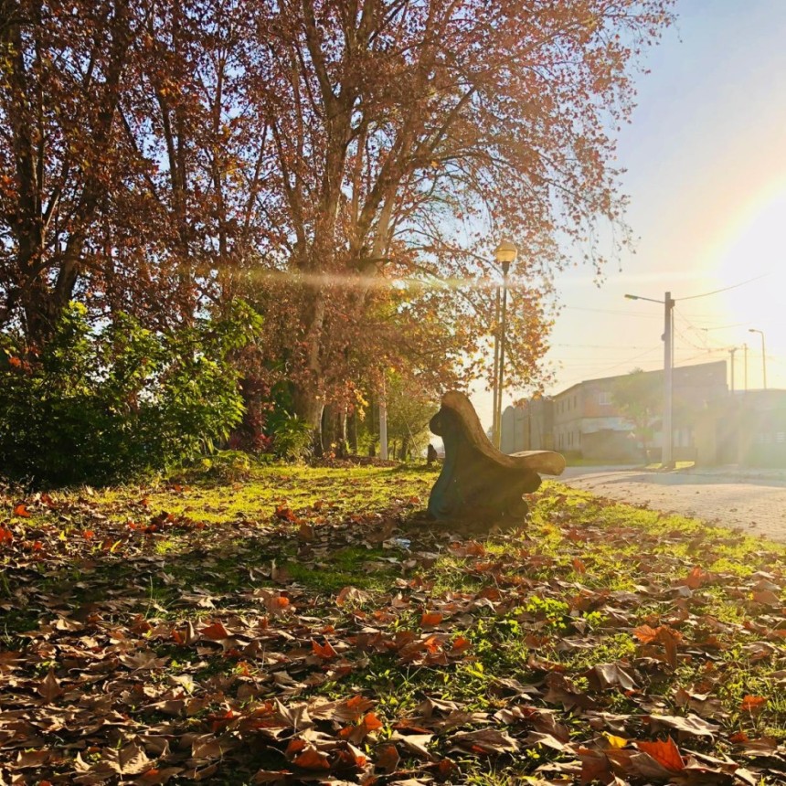 MONTEROS, OTRO D&Iacute;A DE CALOR Y POSIBILIDAD DE TORMENTAS HACIA LA TARDE