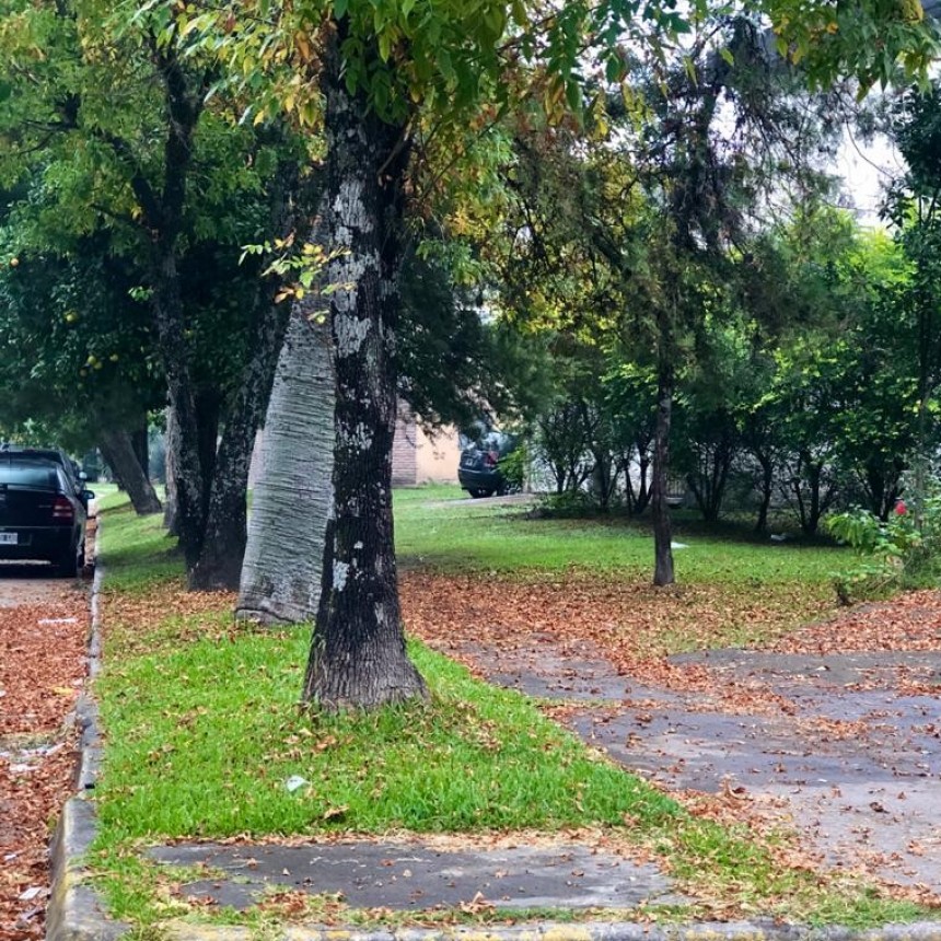 MARTES PARCIALMENTE NUBLADO EN MONTEROS