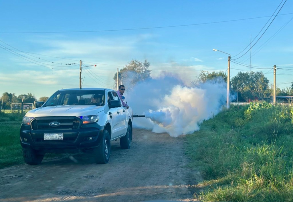 &ldquo;NO TENEMOS NOTIFICADO CASOS DE DENGUE&rdquo; EXPRES&Oacute; MILAGROS BRITO, DIRECTORA DE MEDIO AMBIENTE