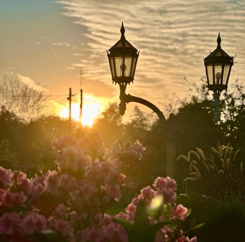  VOLVI&Oacute; EL SOL. DOMINGO AGRADABLE EN MONTEROS