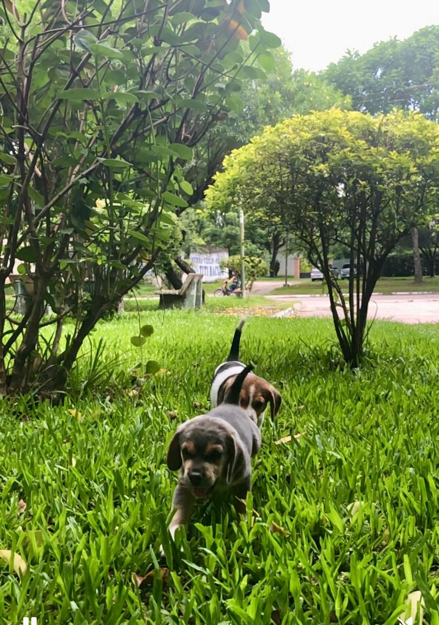 MI&Eacute;RCOLES MAYORMENTE SOLEADO EN MONTEROS