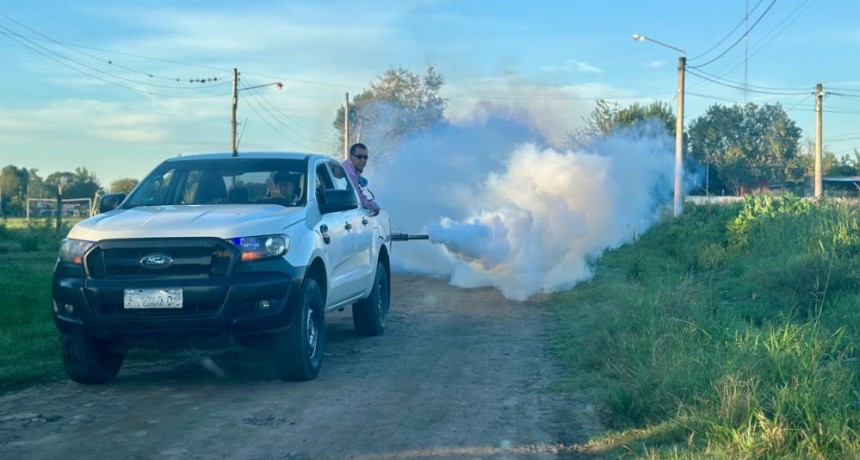 &ldquo;NO TENEMOS NOTIFICADO CASOS DE DENGUE&rdquo; EXPRES&Oacute; MILAGROS BRITO, DIRECTORA DE MEDIO AMBIENTE