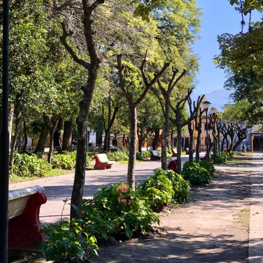 MIÉRCOLES DESPEJADO EN MONTEROS.