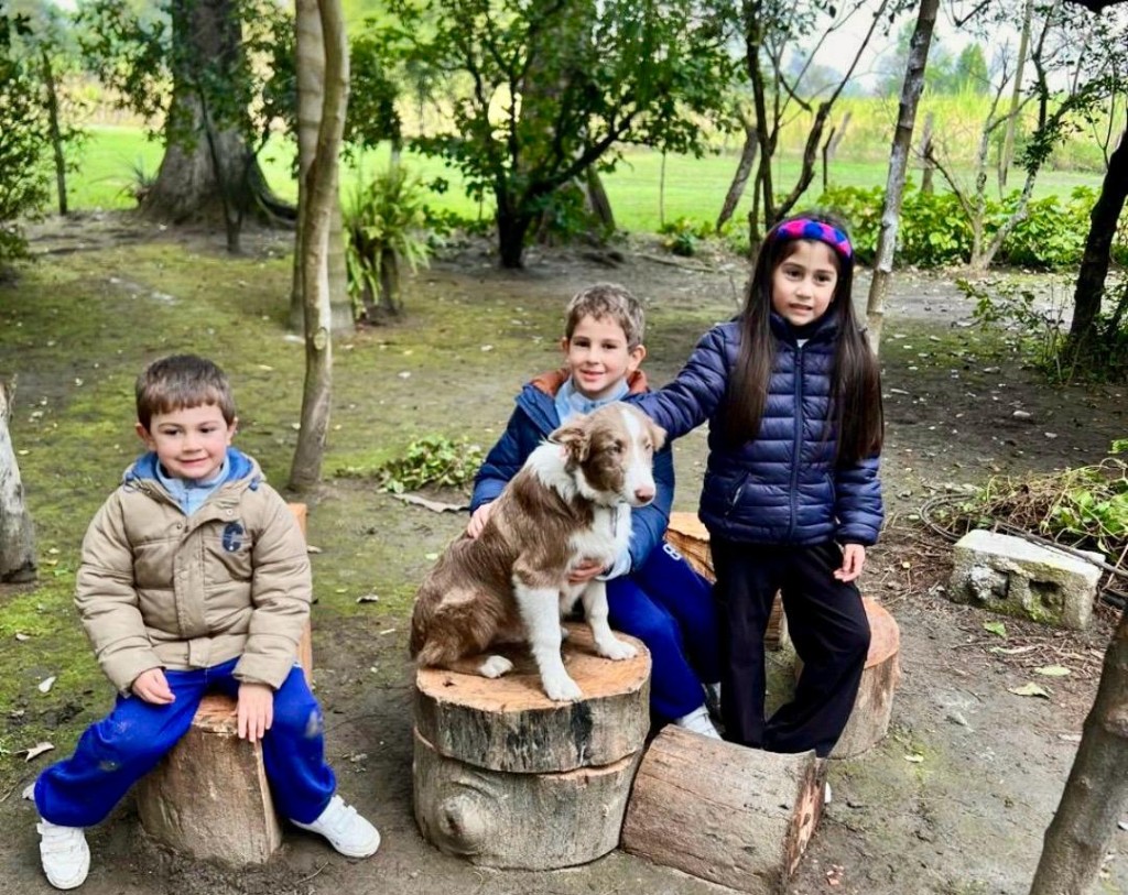 UNA FAMILIA BUSCA A &ldquo;GAUCHO&rdquo; Y NO PIERDE LAS ESPERANZAS