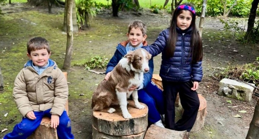UNA FAMILIA BUSCA A &ldquo;GAUCHO&rdquo; Y NO PIERDE LAS ESPERANZAS