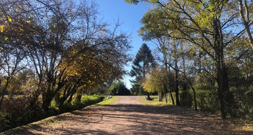 SÁBADO A SOL PLENO EN MONTEROS