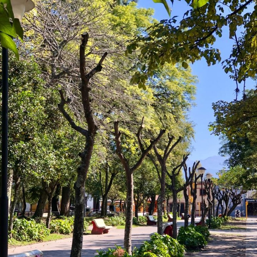 LUNES MAYORMENTE SOLEADO EN MONTEROS