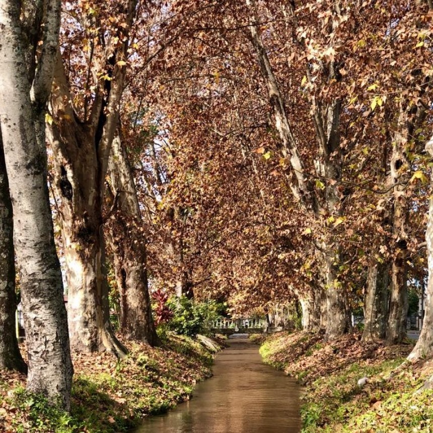 EL OTOÑO PRESENTA UN JUEVES DESPEJADO EN MONTEROS