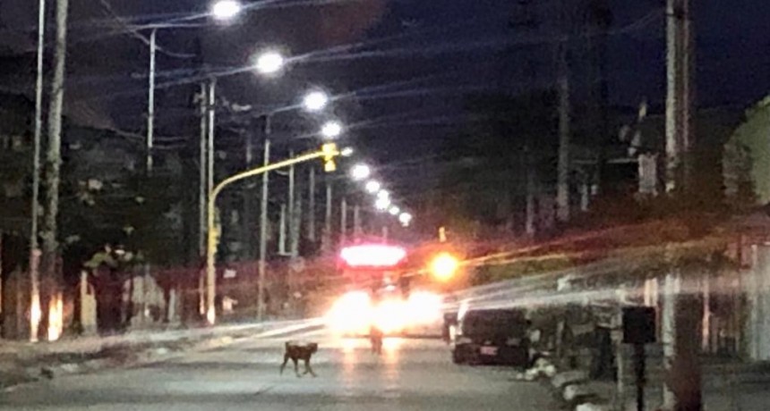 MONTEROS AMENCIÓ RUIDOSO Y PARCIALMENTE NUBLADO 