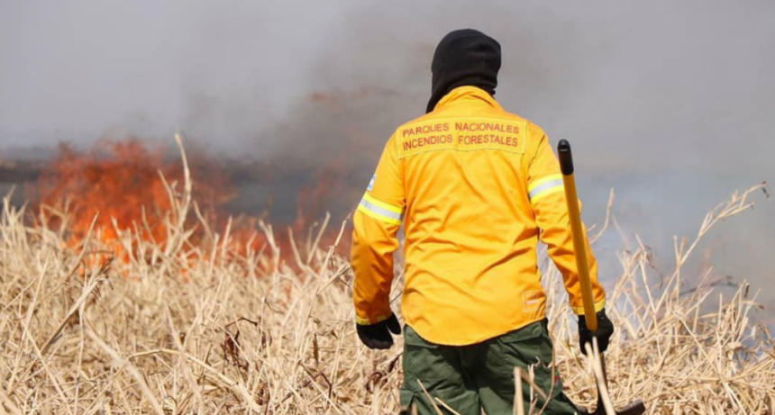 Entre Ríos declaró la emergencia ambiental por los incendios en el delta del Paraná