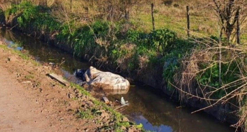 La mujer asesinada en Guernica murió estrangulada y buscan al marido