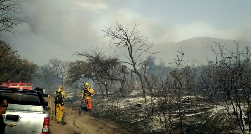 Los incendios forestales quemaron más de 40.000 hectáreas en Córdoba