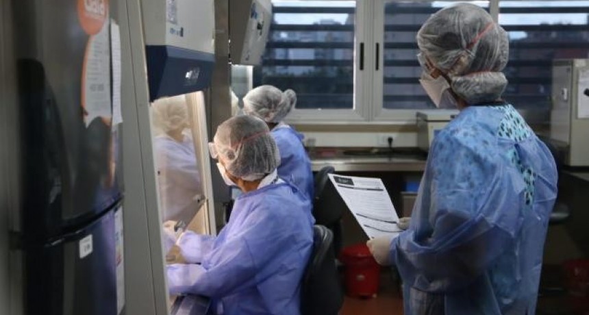 MONTEROS DURANTE LA TARDE SIN PACIENTES DE CORONAVIRUS