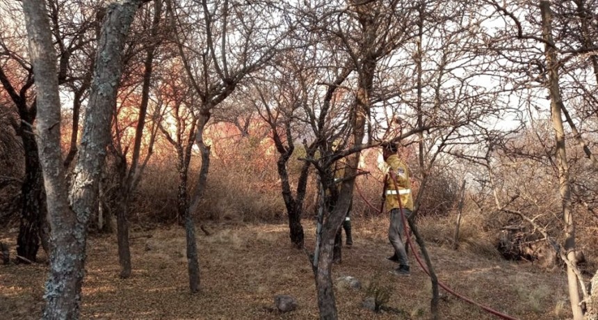 CUATRO PROVINCIAS SIGUEN AFECTADAS POR LOS INCENDIOS Y MENDOZA CONTINÚA CON UN FOCO ACTIVO