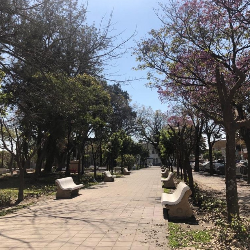 MIERCOLES CON UNA MAXIMA DE 33º EN MONTEROS