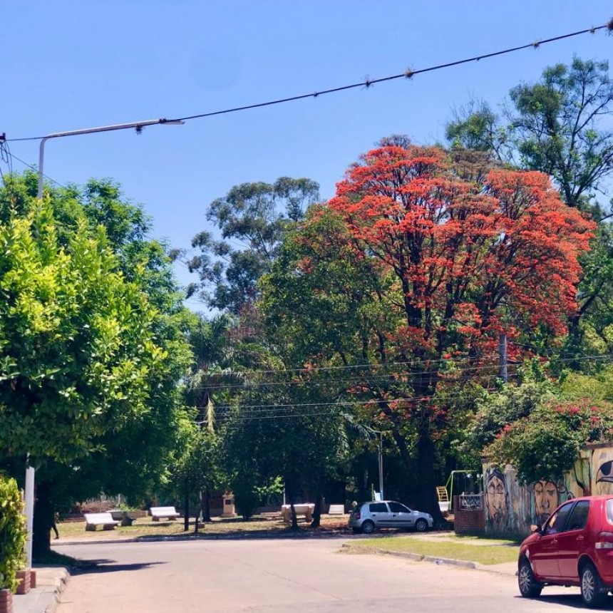 ¿¿¿ESTÁS LISTO PARA LOS 37° DE HOY MARTES??? 
