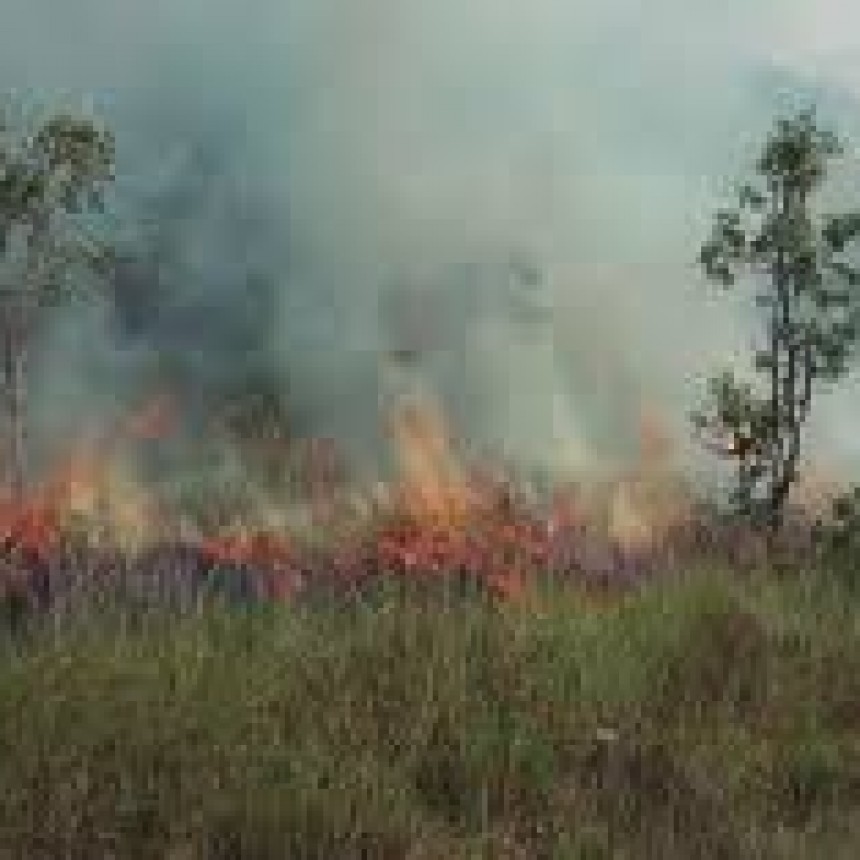  UN INCENDIO FORESTAL EN MONTEROS PUSO EN RIESGO A UNA VIVIENDA AL ESTE DE LA CIUDAD
