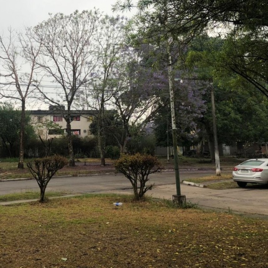 MARTES PARCIALMENTE NUBLADO EN MONTEROS