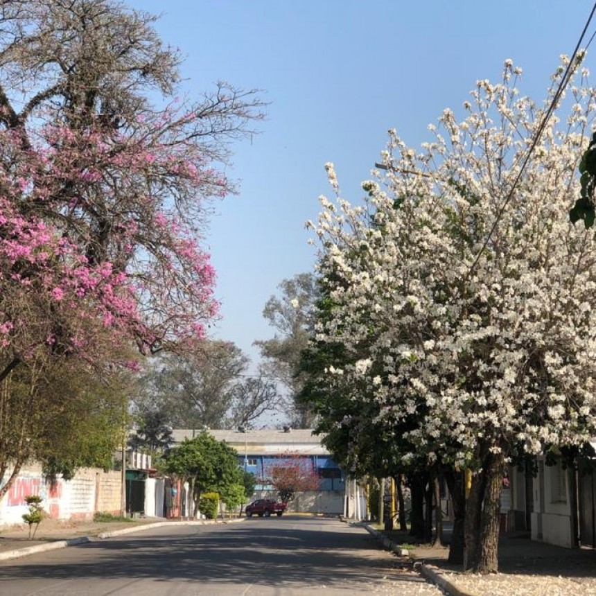JUEVES CALUROSO EN NUESTRA CIUDAD 